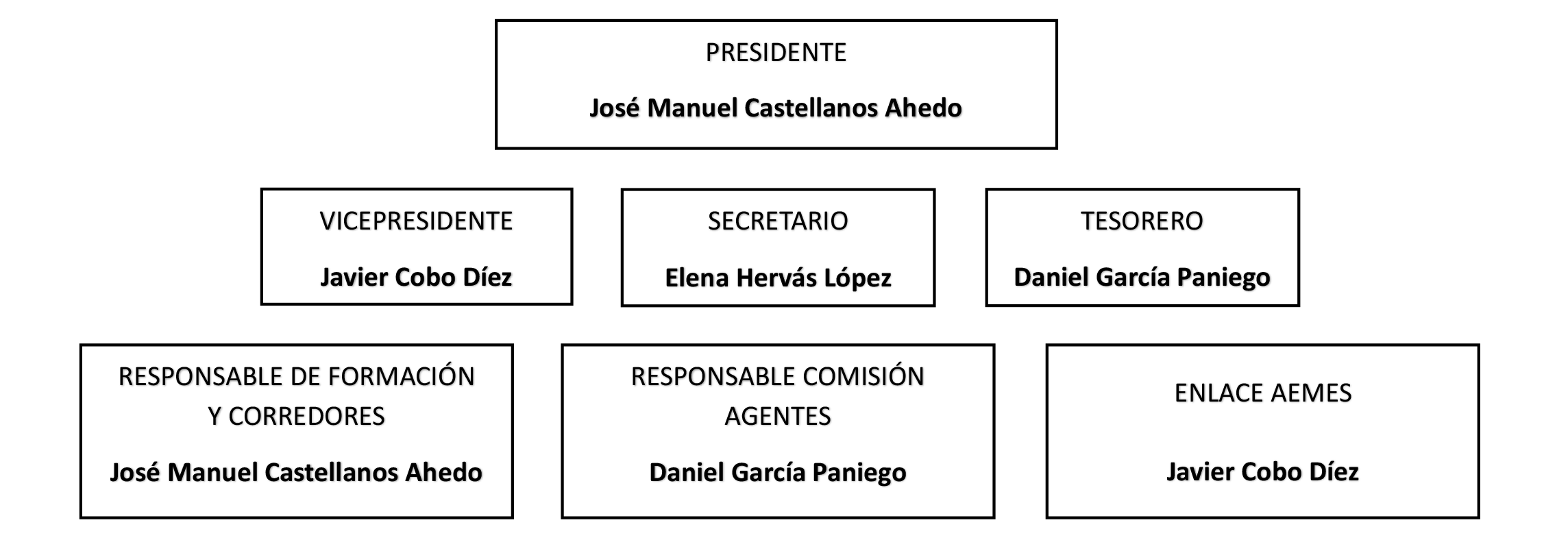Organigrama Colegio Mediadores de Seguros de Burgos